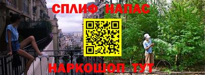 apvp Бийск