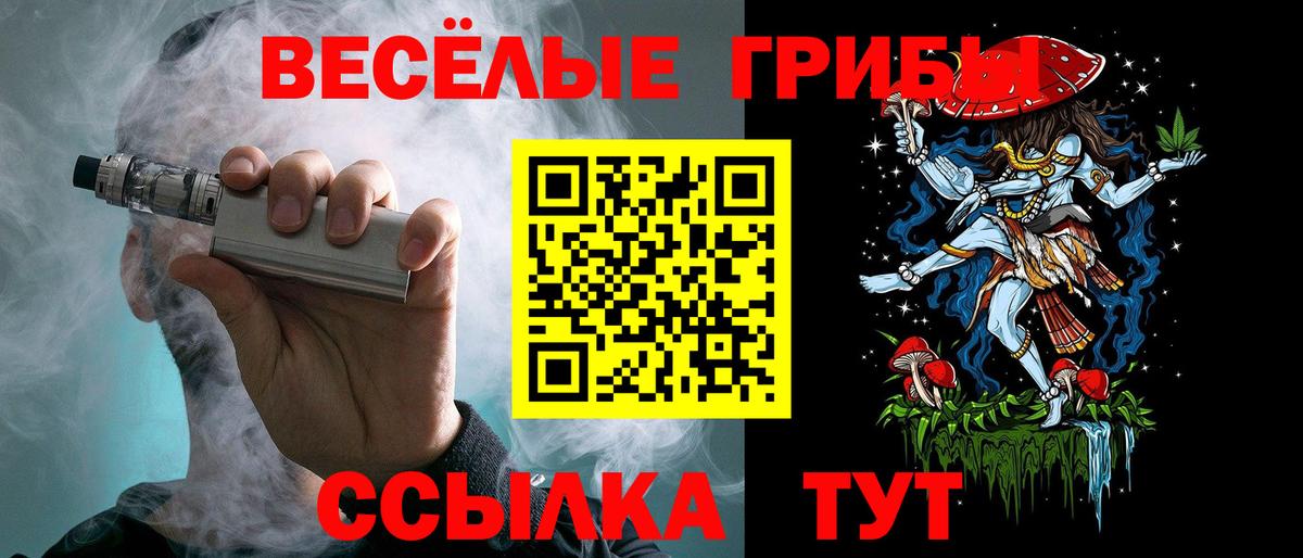 Псилоцибиновые грибы Psilocybine cubensis Каменск-Шахтинский