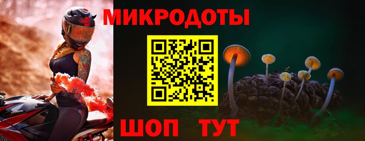 Псилоцибиновые грибы MAGIC MUSHROOMS  Вход с VPN  Каменск-Шахтинский 